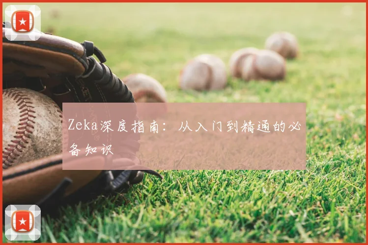 Zeka深度指南：从入门到精通的必备知识