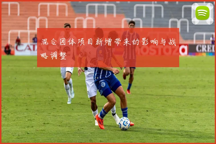 混合团体项目新增带来的影响与战略调整