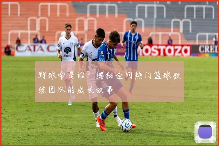野球帝是谁？揭秘全网热门篮球教练团队的成长故事
