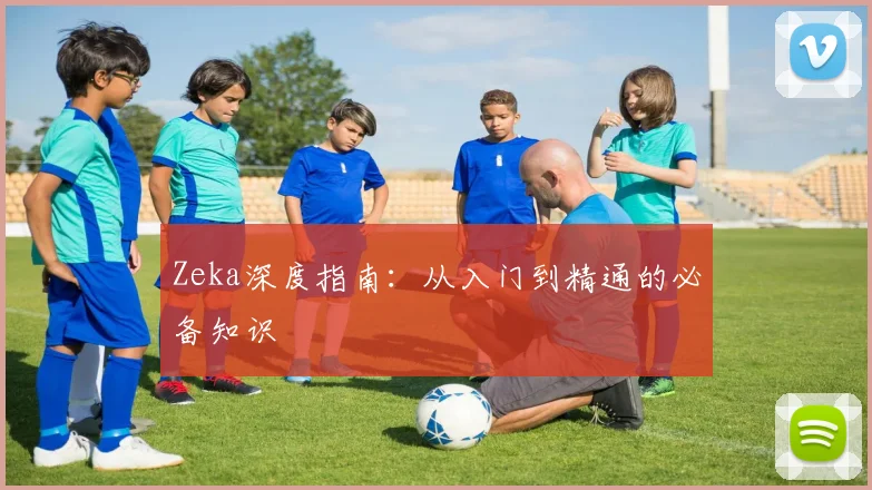 Zeka深度指南：从入门到精通的必备知识
