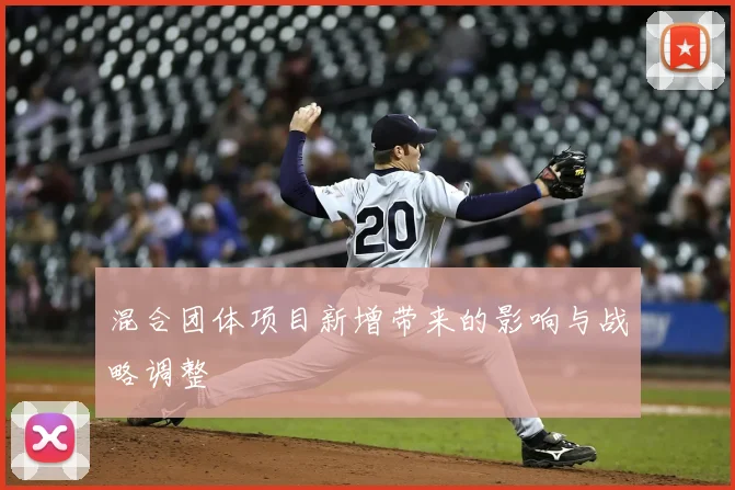 混合团体项目新增带来的影响与战略调整